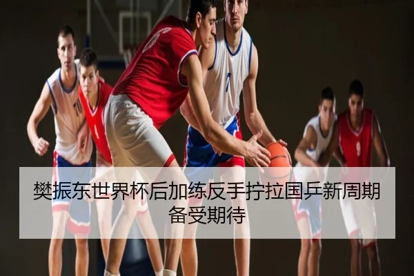 樊振东世界杯后加练反手拧拉国乒新周期备受期待